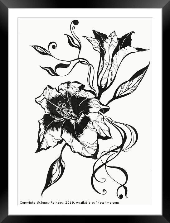 Ink Drawing Lily Elegance Framed Mounted Print by Jenny Rainbow