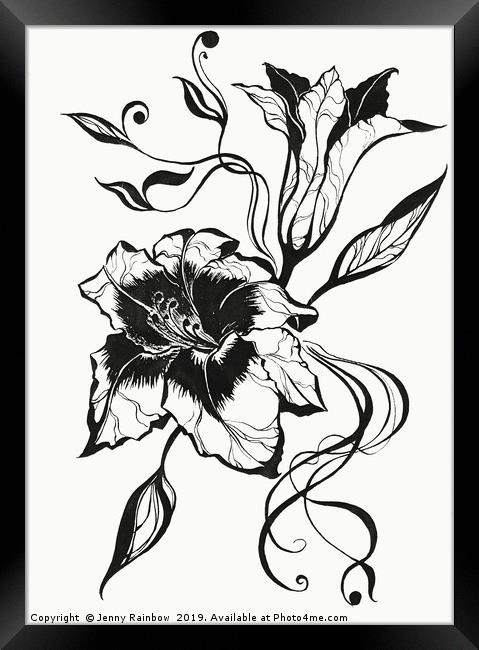 Ink Drawing Lily Elegance Framed Print by Jenny Rainbow