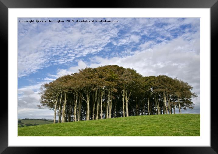 Hill Top Copse Framed Mounted Print by Pete Hemington