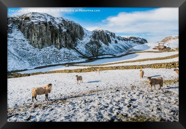 Winter at Holwick Scar, Upper Teesdale Framed Print by Richard Laidler
