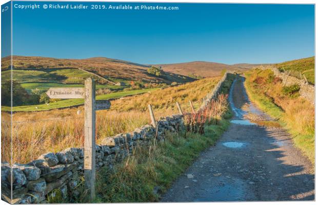 The Pennine Way towards Great Shunner Fell Canvas Print by Richard Laidler