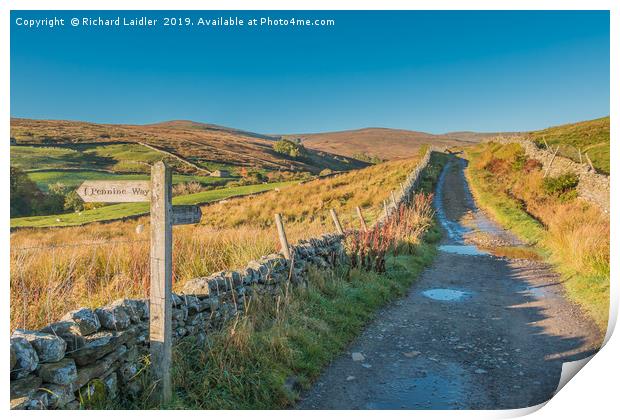 The Pennine Way towards Great Shunner Fell Print by Richard Laidler