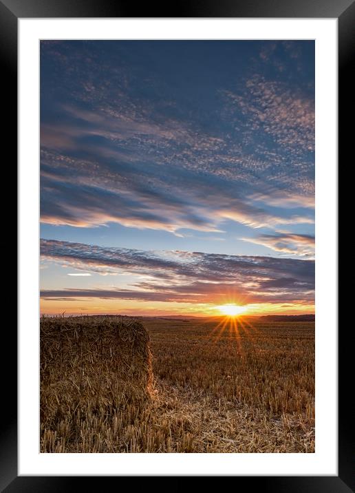 Haymaking Sunset Framed Mounted Print by LensLight Traveler