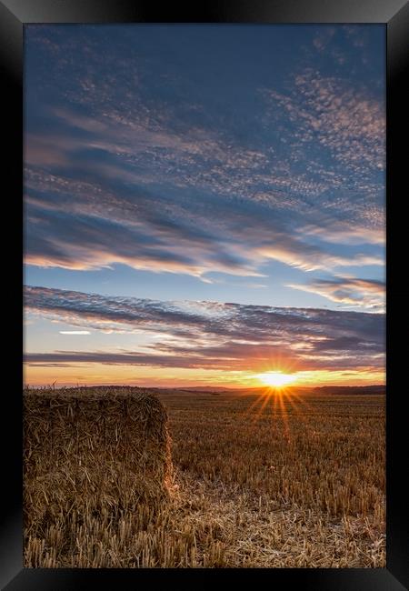 Haymaking Sunset Framed Print by LensLight Traveler