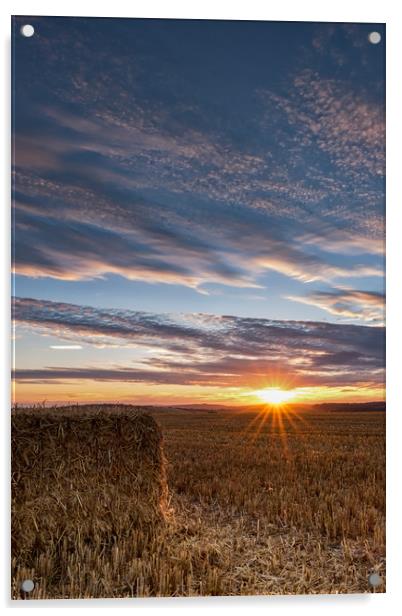 Haymaking Sunset Acrylic by LensLight Traveler