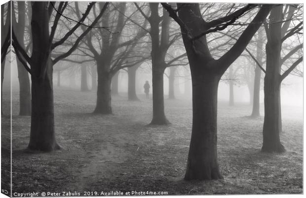 A figure in the mist Canvas Print by Peter Zabulis