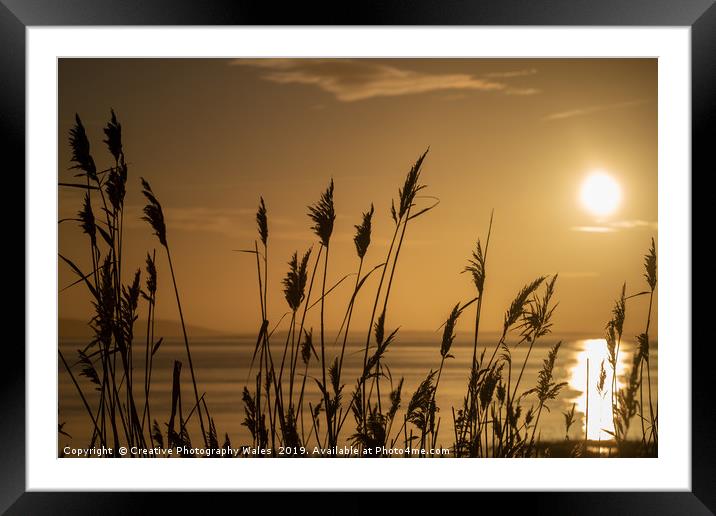 Rushes at Dawn, Laugharne Estuary Framed Mounted Print by Creative Photography Wales