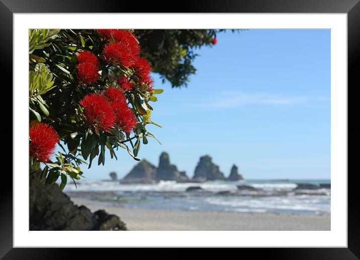 pohutakawa flowers Framed Mounted Print by Peter Righteous