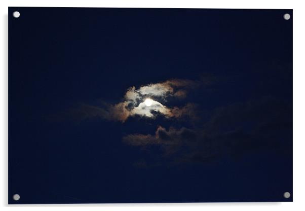 Light Of A Silvery Moon Acrylic by Irina Walker