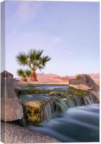 Oasis In The Nevada Desert Canvas Print by LensLight Traveler