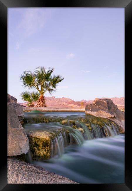 Oasis In The Nevada Desert Framed Print by LensLight Traveler
