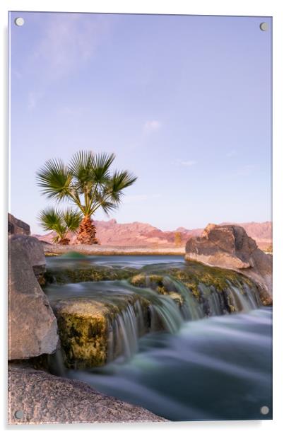 Oasis In The Nevada Desert Acrylic by LensLight Traveler