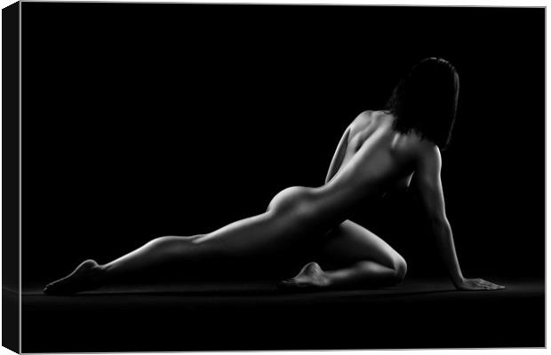 Nude woman bodyscape 5 Canvas Print by Johan Swanepoel