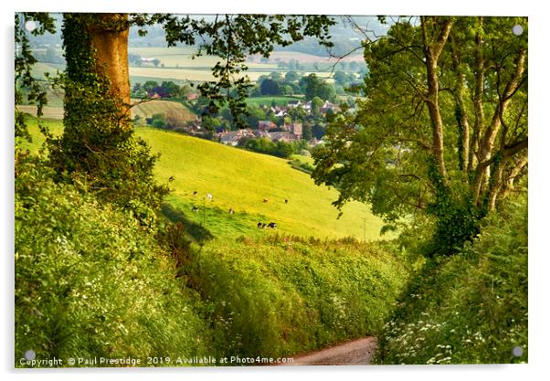 A Devon Country Lane in Spring Acrylic by Paul F Prestidge