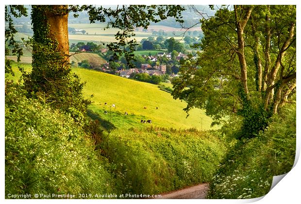 A Devon Country Lane in Spring Print by Paul F Prestidge