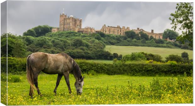 Bolsover Castle And The Horse  Canvas Print by Michael South Photography
