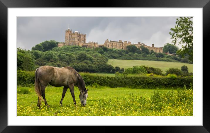 Bolsover Castle And The Horse  Framed Mounted Print by Michael South Photography