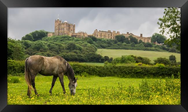 Bolsover Castle And The Horse  Framed Print by Michael South Photography