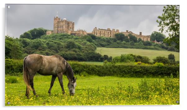 Bolsover Castle And The Horse  Acrylic by Michael South Photography