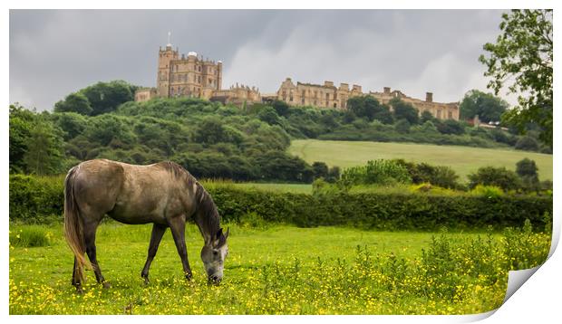Bolsover Castle And The Horse  Print by Michael South Photography