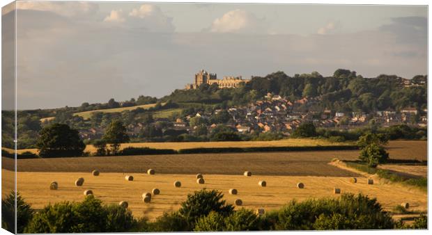 Bolsover Castle and the bales.  Canvas Print by Michael South Photography