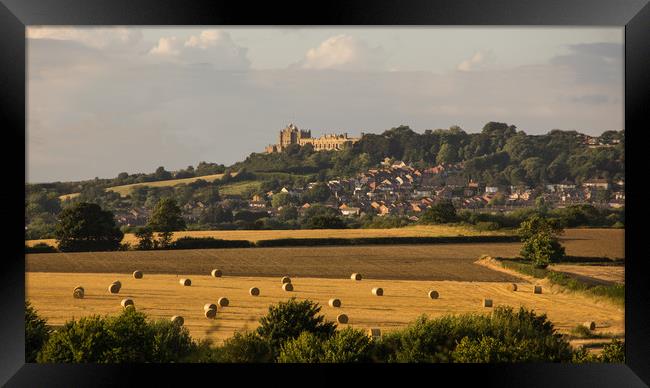 Bolsover Castle and the bales.  Framed Print by Michael South Photography