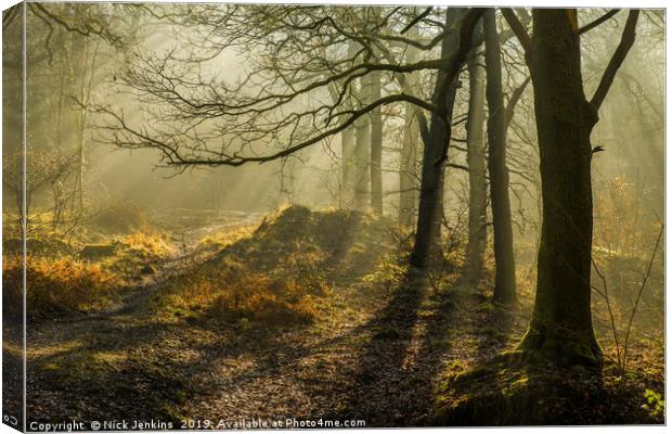 Light and Shadow in the Forest of Dean in February Canvas Print by Nick Jenkins