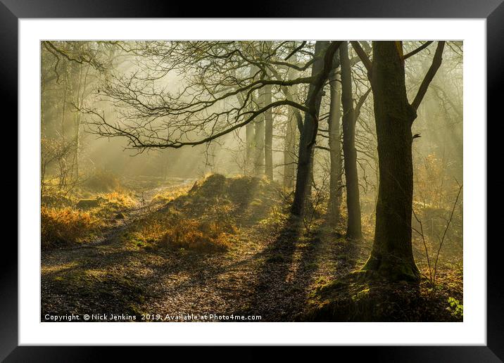 Light and Shadow in the Forest of Dean in February Framed Mounted Print by Nick Jenkins