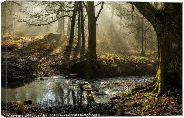 Light and Shadow Forest of Dean 6  Canvas Print by Nick Jenkins