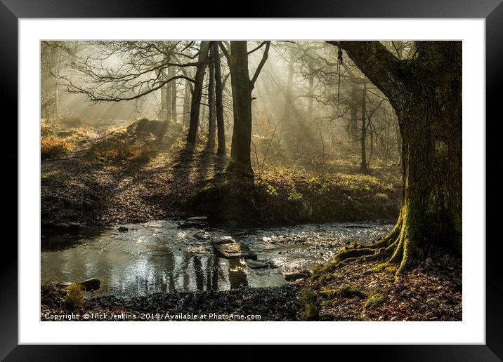 Light and Shadow Forest of Dean 6  Framed Mounted Print by Nick Jenkins