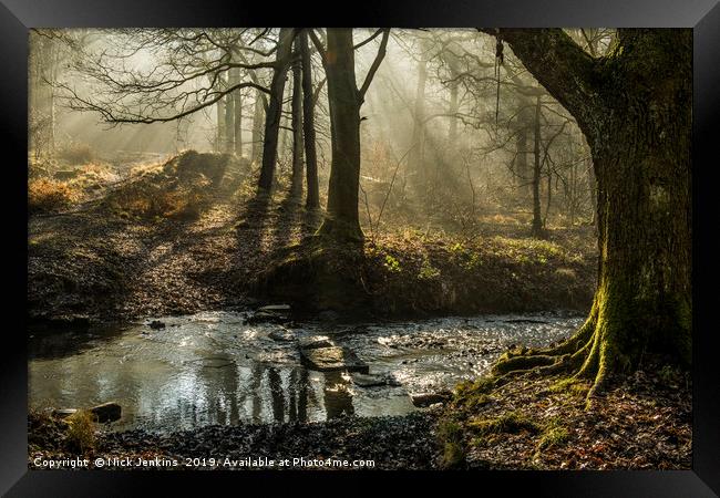 Light and Shadow Forest of Dean 6  Framed Print by Nick Jenkins