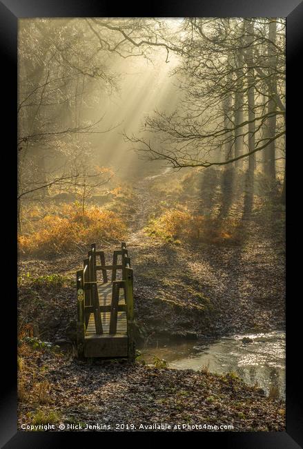 Light and Shadow Forest of Dean Gloucestershire Framed Print by Nick Jenkins