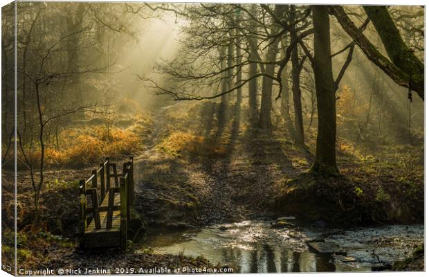 Forest of Dean Light and Shadow 2  Canvas Print by Nick Jenkins