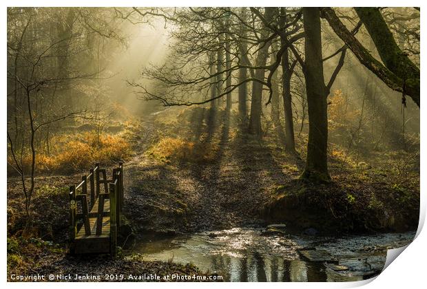 Forest of Dean Light and Shadow 2  Print by Nick Jenkins
