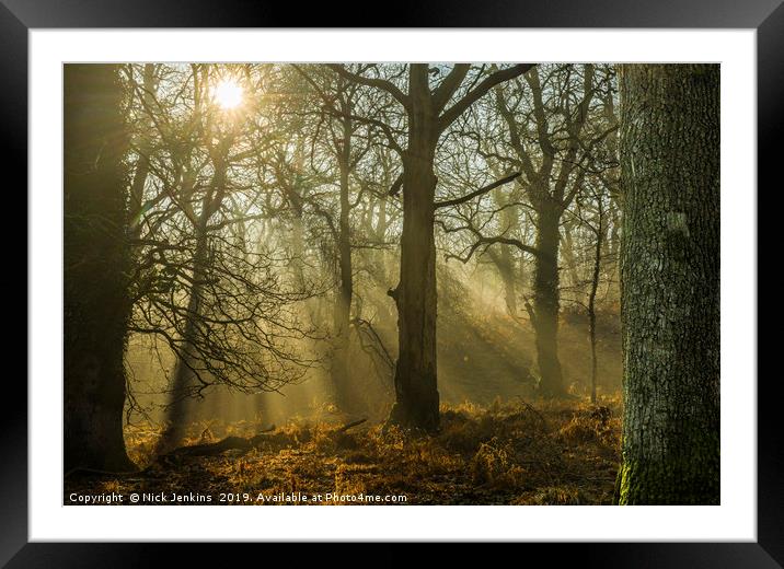 Light and Shadow Forest of Dean Gloucestershire Framed Mounted Print by Nick Jenkins