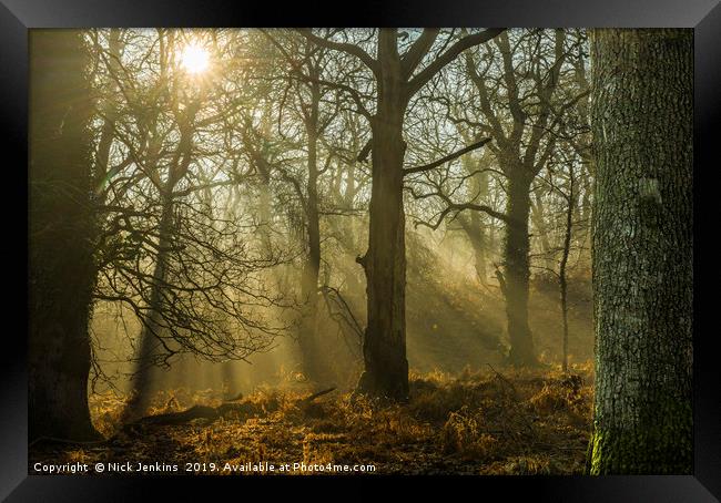 Light and Shadow Forest of Dean Gloucestershire Framed Print by Nick Jenkins