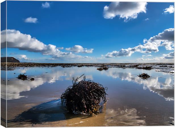 Winter Cloud Reflections at Charmouth Canvas Print by Susie Peek