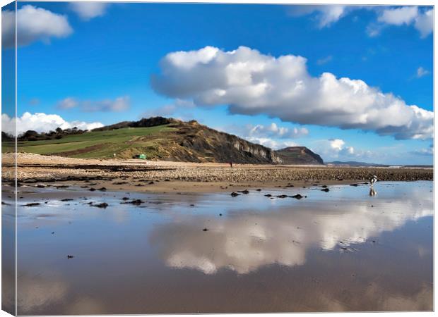 Cloud Reflections at Charmouth - February Canvas Print by Susie Peek