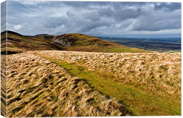 Harthope Hill, Northumberland National Park Canvas Print by David Lewins (LRPS)