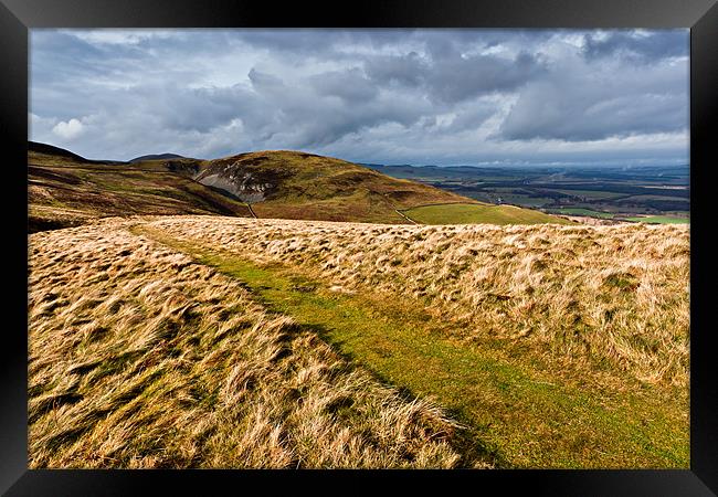 Harthope Hill, Northumberland National Park Framed Print by David Lewins (LRPS)
