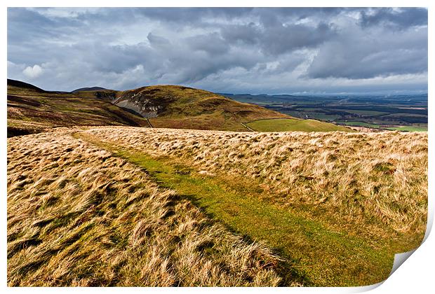 Harthope Hill, Northumberland National Park Print by David Lewins (LRPS)