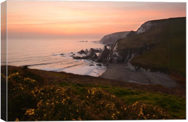 Westcombe Bay, Clifftop View. Canvas Print by David Neighbour