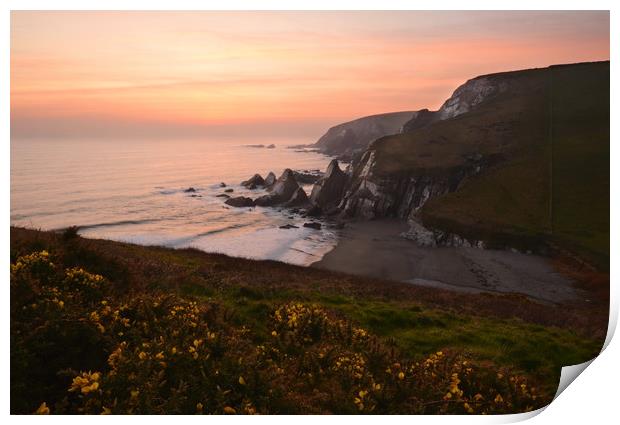 Westcombe Bay, Clifftop View. Print by David Neighbour