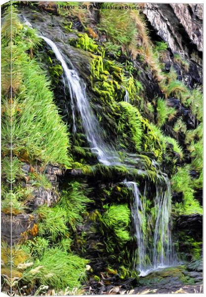 St Catherine's Tor Waterfall Canvas Print by Avril Harris