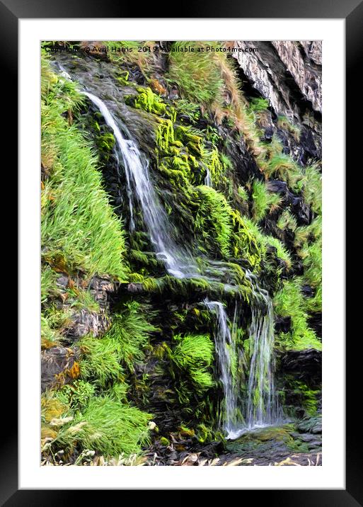 St Catherine's Tor Waterfall Framed Mounted Print by Avril Harris