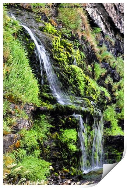 St Catherine's Tor Waterfall Print by Avril Harris