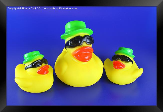 Three Rubber Ducks Framed Print by Nicola Clark
