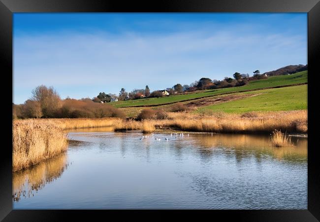 River Char at Charmouth Framed Print by Susie Peek