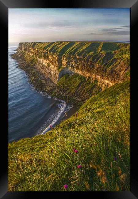 Filey cliffs at dawn Framed Print by Steven Shea