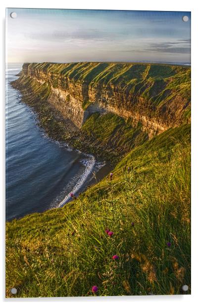 Filey cliffs at dawn Acrylic by Steven Shea